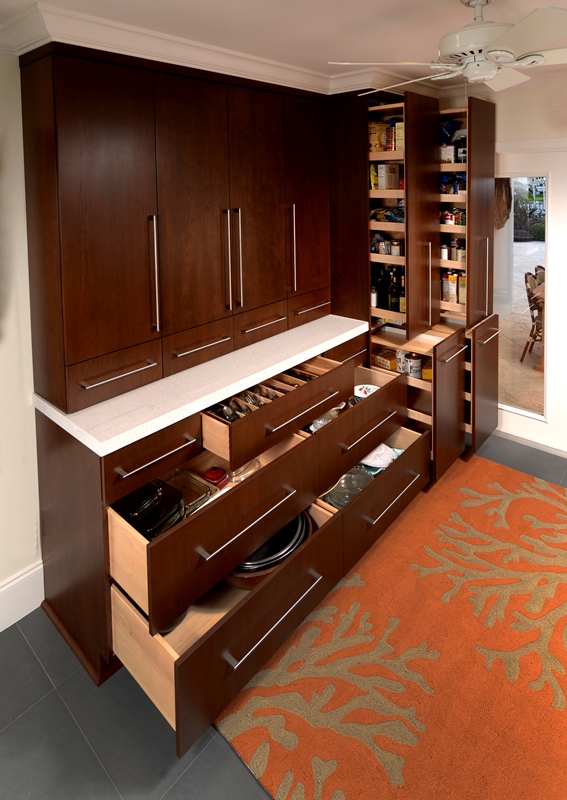 Minimalist kitchen design should consist of functional cabinetry storage.