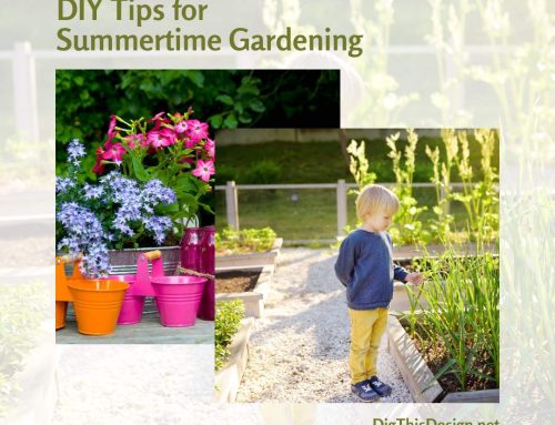 3 Gardening Tips Unleashed: Your Ultimate DIY Summertime Garden Guide for Flourishing Blooms