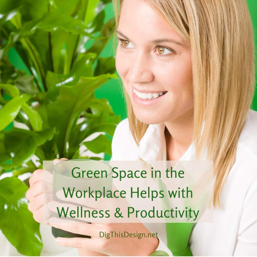 Why Green Space in the Workplace is Important for Wellness and