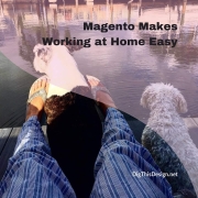 Magento Makes Working at Home Easy(