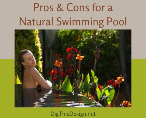 Pros & Cons for a Natural Swimming Pool