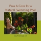 Pros & Cons for a Natural Swimming Pool
