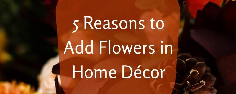 5 Reasons to Add Flowers in Home Décor