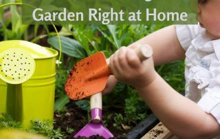 How to Start a Vegetable Garden Right at Home