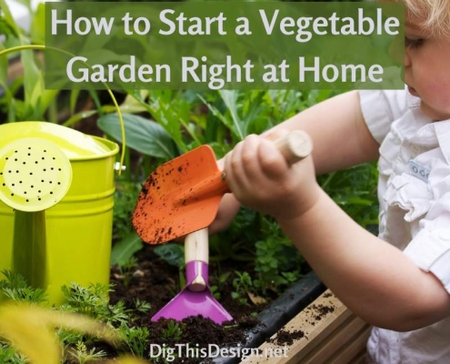 How to Start a Vegetable Garden Right at Home