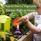 How to Start a Vegetable Garden Right at Home