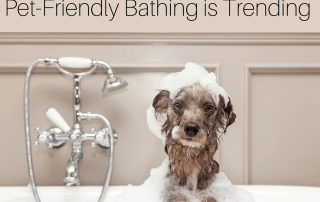 Laundry Room - Designed with Pet-Friendly Bathing is Trending (1)