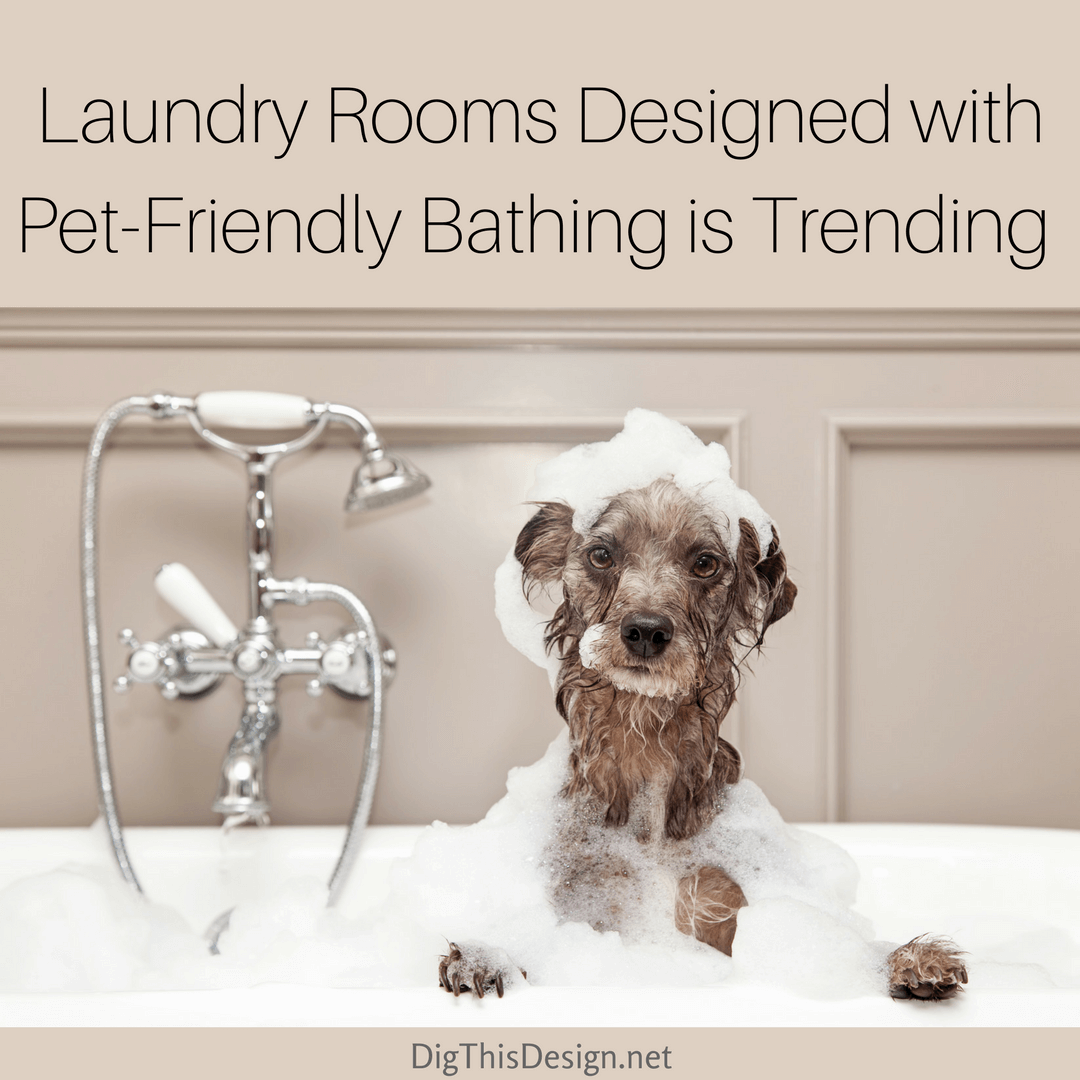 Laundry Rooms Designed with Pet-Friendly Bathing is Trending