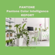 Pantone Color Intelligence Report
