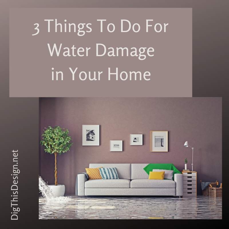 3 Things To Do For Water Damage in Your Home