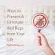 Ways to Prevent & Eliminate Bed Bugs from Your Life