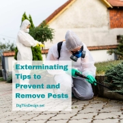 Preventing a pest problem