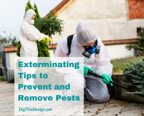 Preventing a pest problem