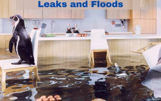 Avoid Kitchen Leaks and Floods
