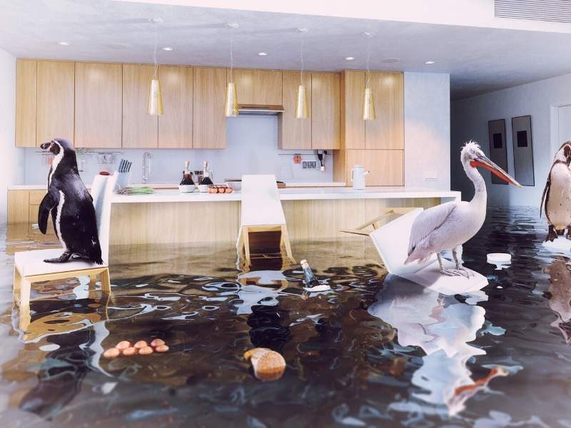 4 Ways to Avoid Kitchen Leaks and Floods