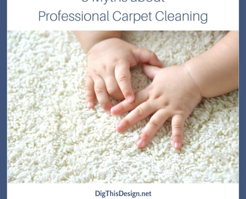 3 Myths about Professional Carpet Cleaning