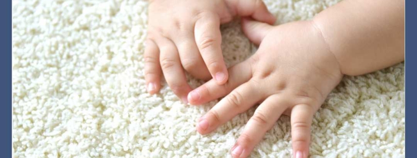 3 Myths about Professional Carpet Cleaning