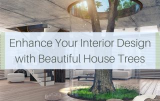 Enhance Your Interior Design with Beautiful House Trees