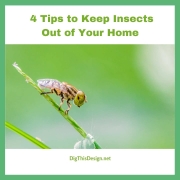Keep Insects Out of Your Home