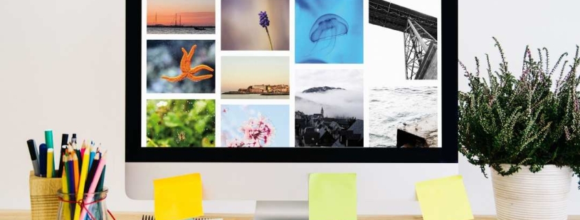 Portfolio Website