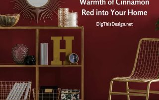 Bring the Warmth of Cinnamon into Your Home