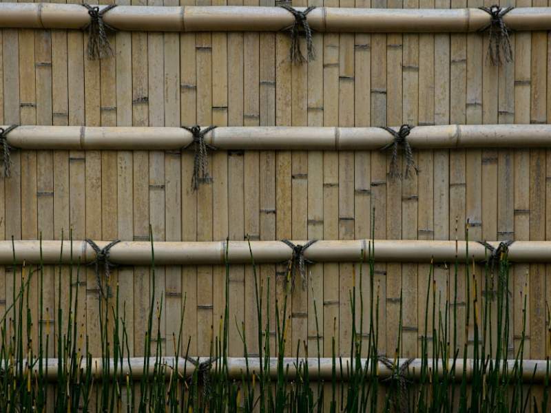 Bamboo fencing