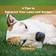 4 Tips to Pet-proof Your Lawn and Garden