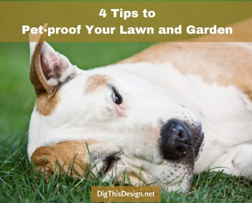 4 Tips to Pet-proof Your Lawn and Garden