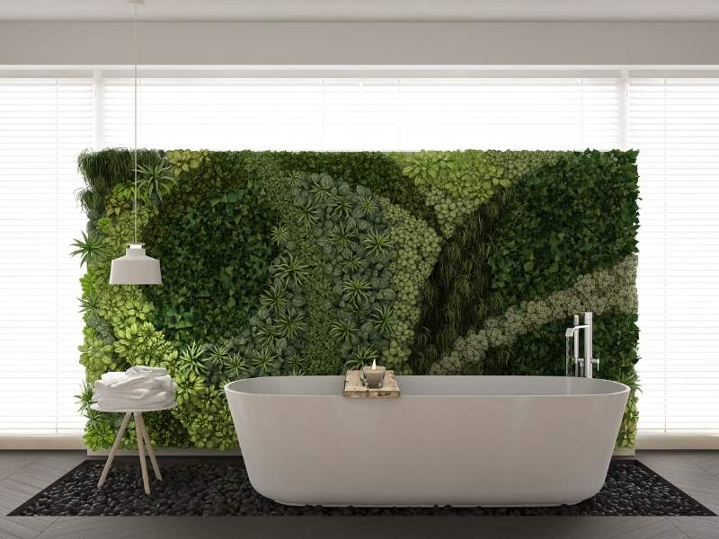 Green walls inside the home.