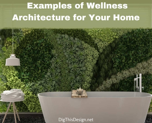 Wellness Architecture for Your Home