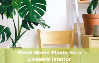 Fresh Green Plants for a Livable Design