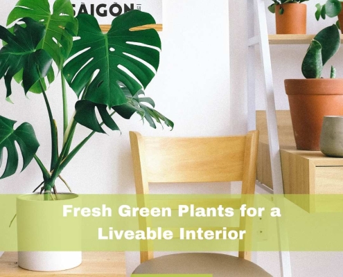 Fresh Green Plants for a Livable Design