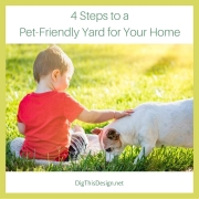 4 Steps to a Pet-Friendly Yard for Your Home