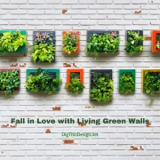 Fall in Love with Living Green Walls