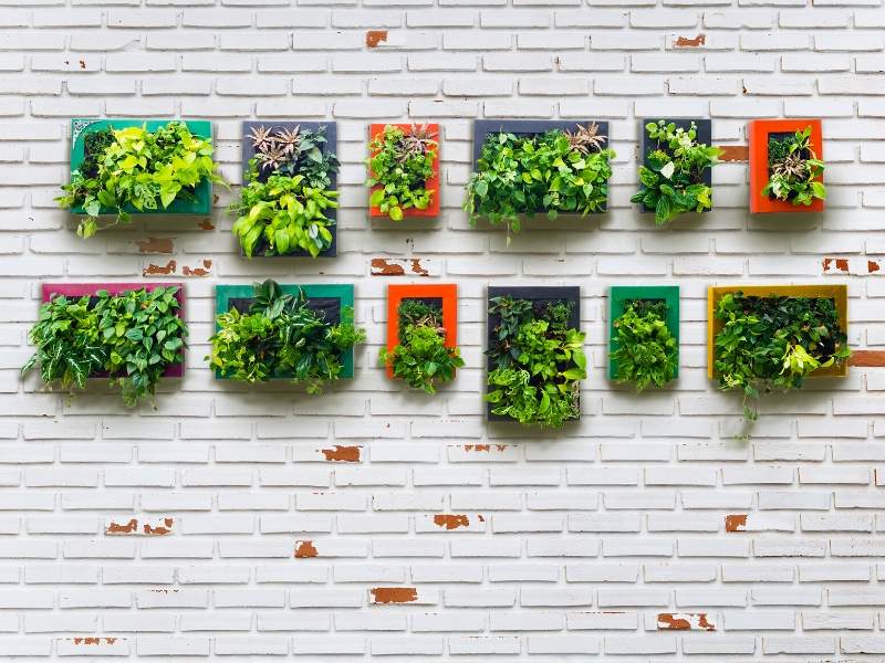 Living Green Wall example