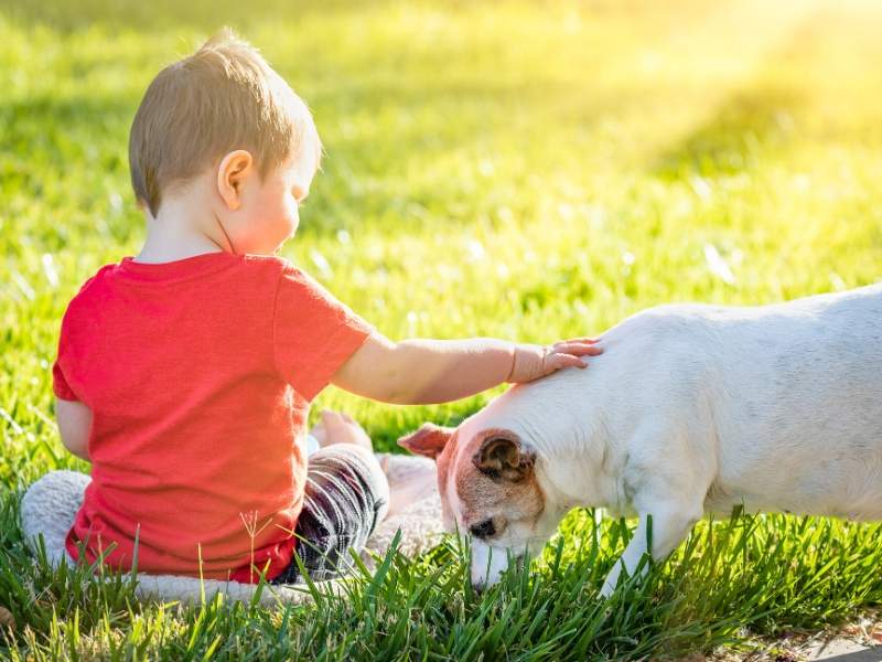 Pet-friendly room to run and play