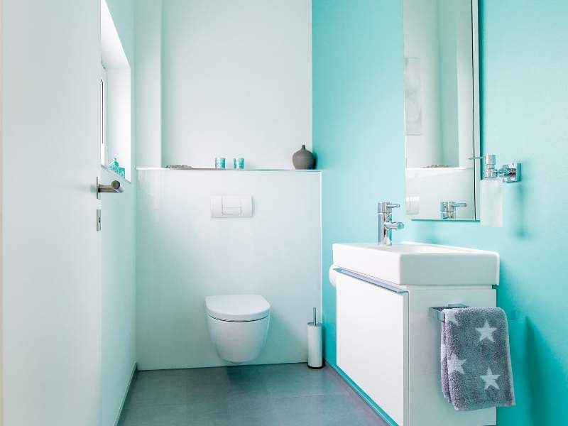 Natural Lights in a Powder Room