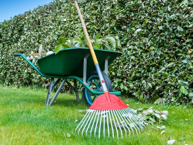 Seasonal Garden Cleanup Tips 7 Spring Cleaning Tips for Your Yard Dig This Design