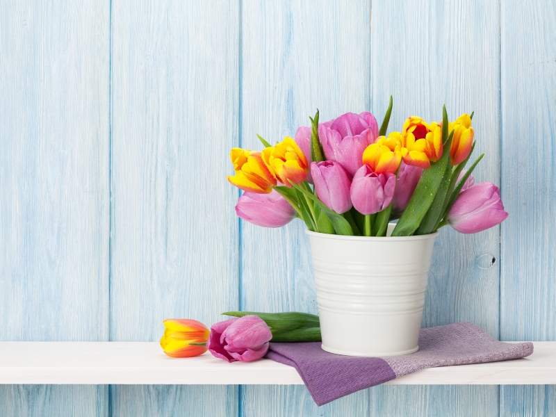 Tulips in a Spring bouquet