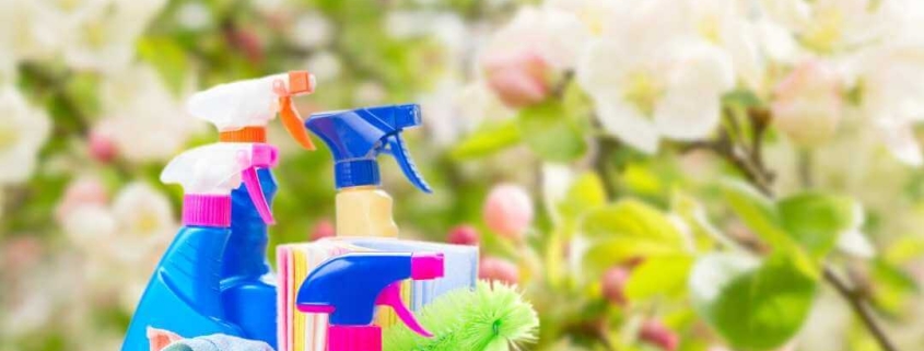 Spruce Up for Springtime