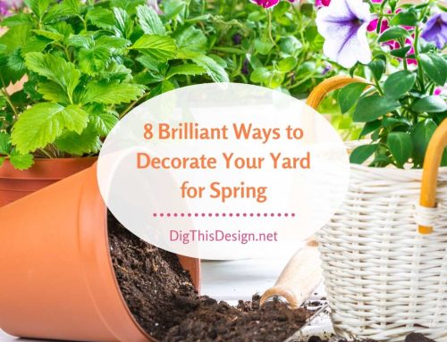 8 Brilliant Ways to Decorate Your Yard for Spring