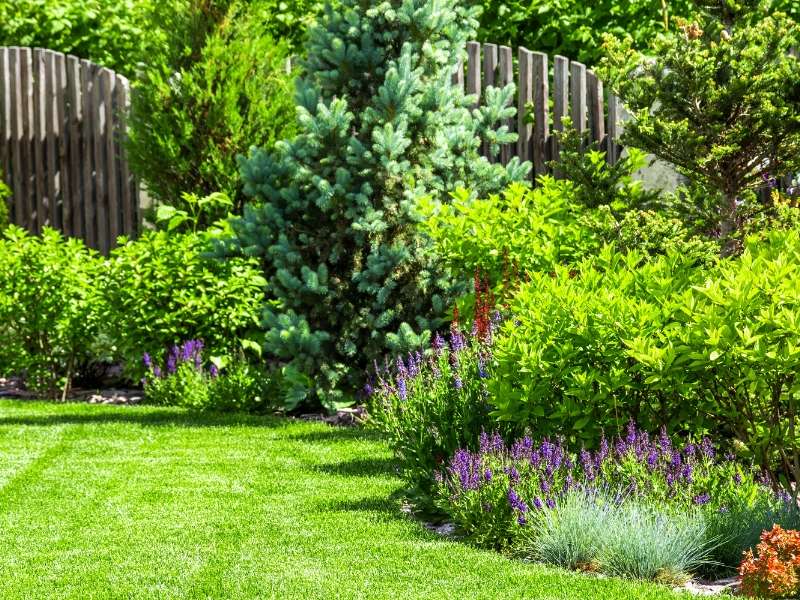 Grow a flower garden to decorate your yard