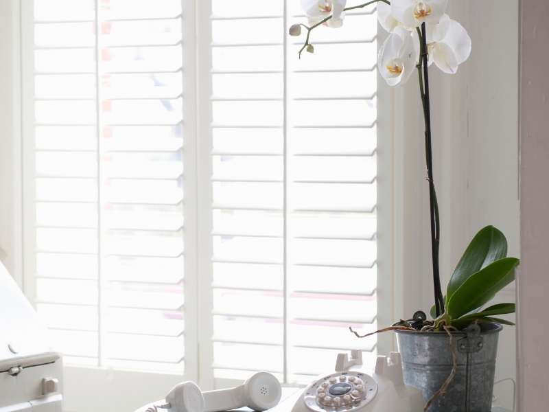 Window shutters home decor ideas