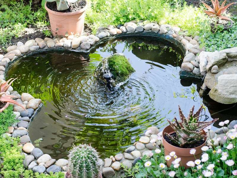 Landscape your garden with a focal point