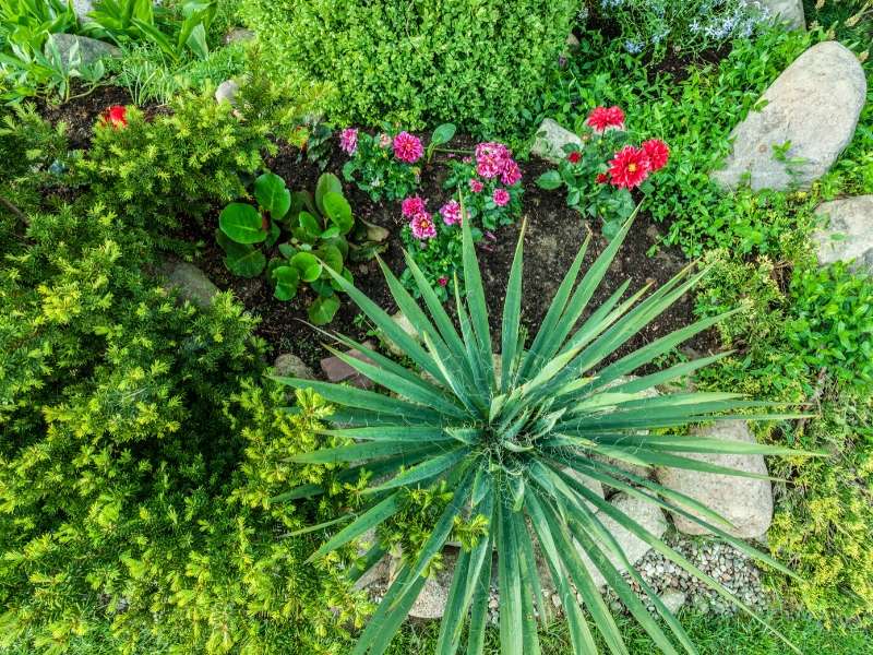 Landscape your garden with the right flowers