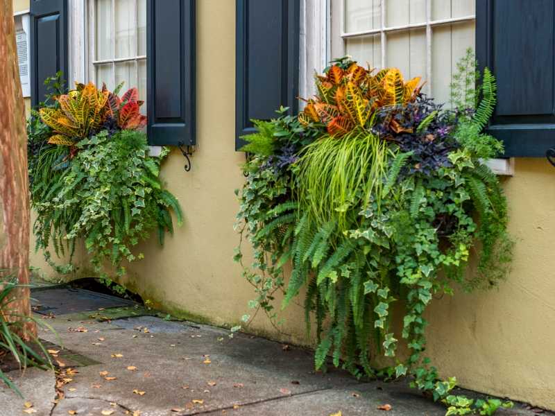 Crisp Contrasting colors with vinyl window shutters