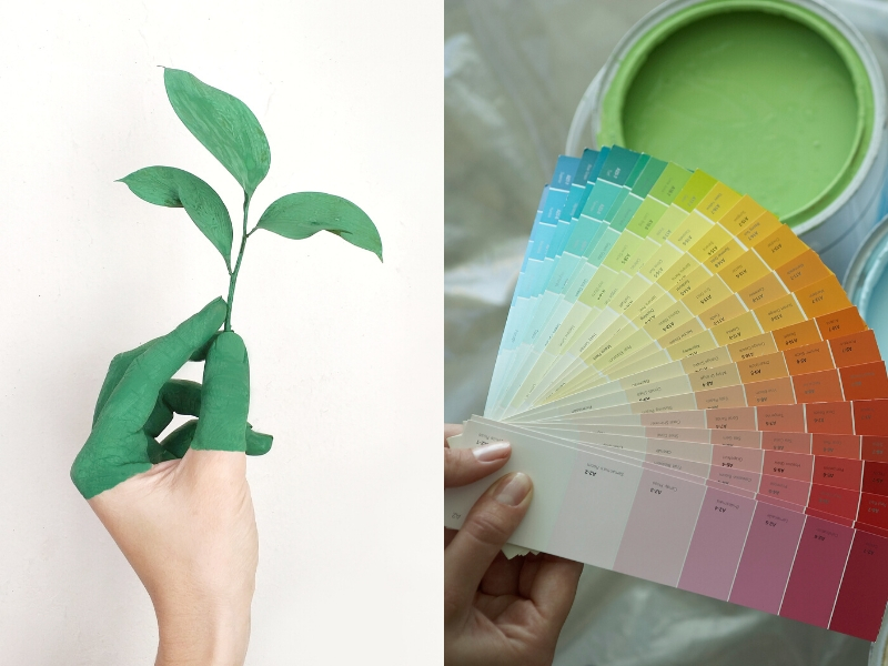 Green Paint for Sustainable Housing