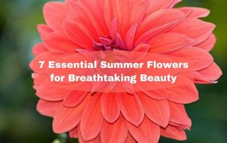 7 Essential Summer Flowers for Breathtaking Beauty
