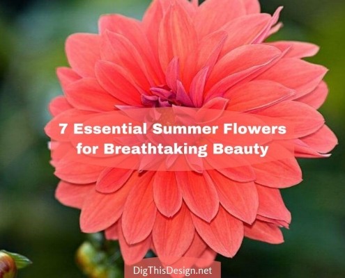 7 Essential Summer Flowers for Breathtaking Beauty