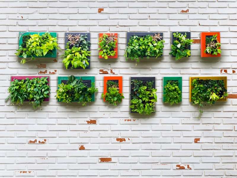 Vertical Garden for the home